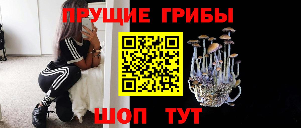 Псилоцибиновые грибы ЛСД Городец